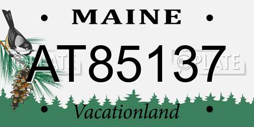 AT85137 Maine License Plate