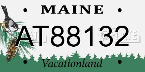 AT88132 Maine License Plate