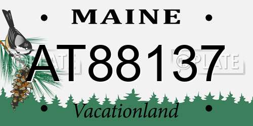 AT88137 Maine License Plate