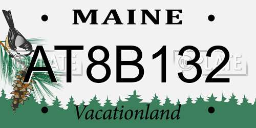 AT8B132 Maine License Plate