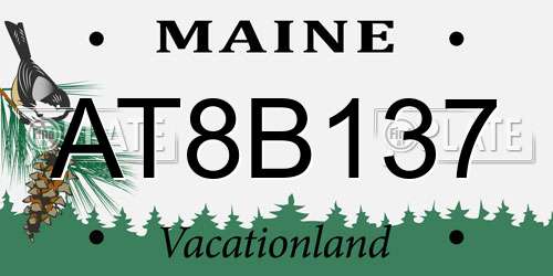 AT8B137 Maine License Plate