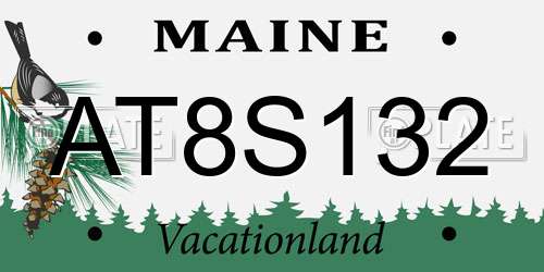 AT8S132 Maine License Plate