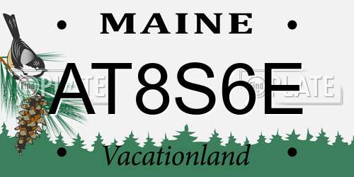 AT8S6E Maine License Plate