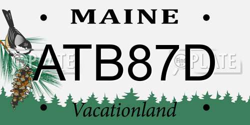 ATB87D Maine License Plate
