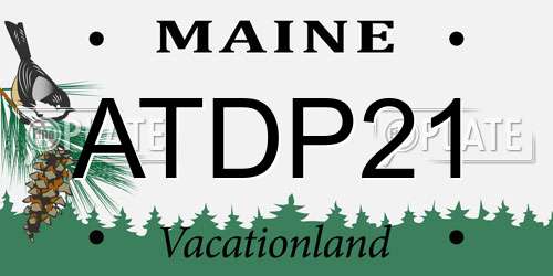 ATDP21 Maine License Plate