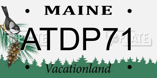 ATDP71 Maine License Plate