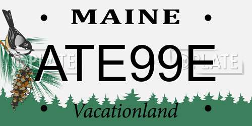 ATE99E Maine License Plate
