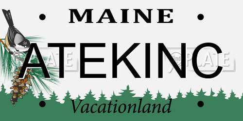 ATEKINC Maine License Plate