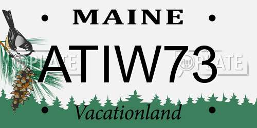 ATIW73 Maine License Plate
