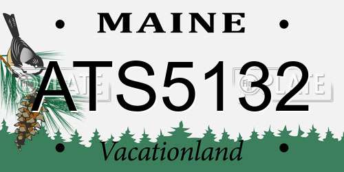 ATS5132 Maine License Plate