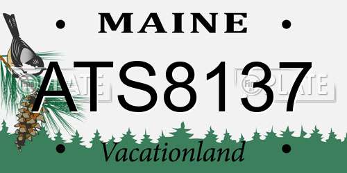 ATS8137 Maine License Plate
