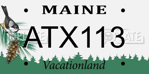 ATX113 Maine License Plate