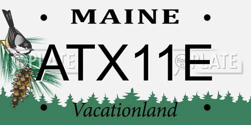 ATX11E Maine License Plate