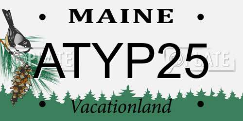 ATYP25 Maine License Plate