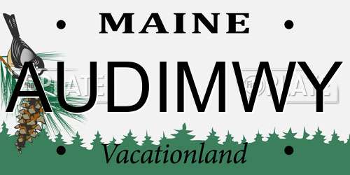 AUDIMWY Maine License Plate