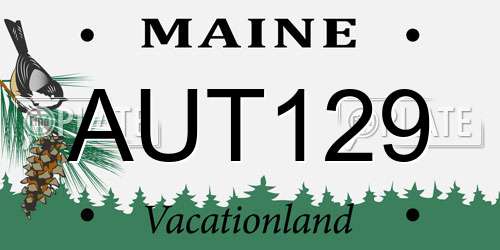 AUT129 Maine License Plate