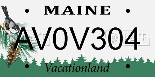 AV0V304 Maine License Plate