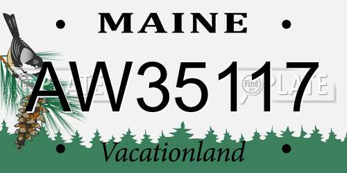 AW35117 Maine License Plate
