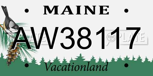 AW38117 Maine License Plate