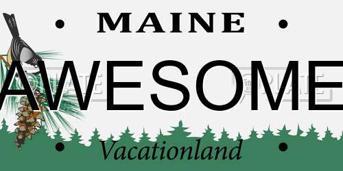 AWESOME Maine License Plate