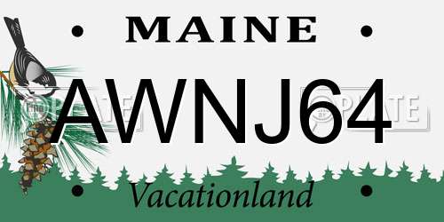 AWNJ64 Maine License Plate
