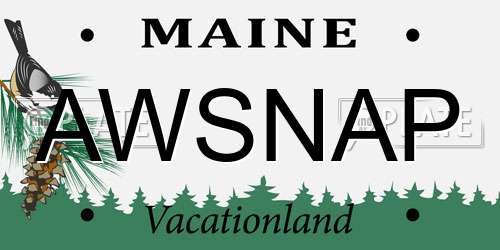 AWSNAP Maine License Plate