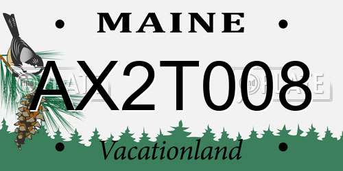 AX2T008 Maine License Plate