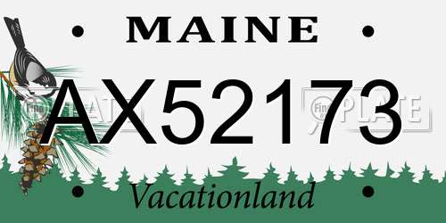 AX52173 Maine License Plate