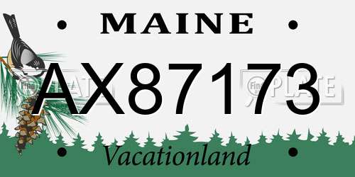 AX87173 Maine License Plate