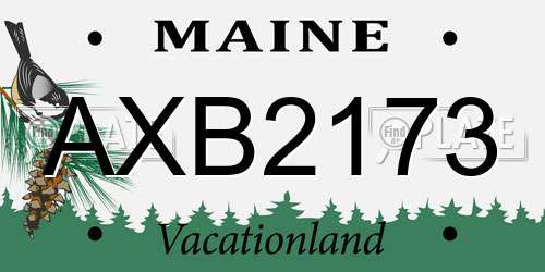 AXB2173 Maine License Plate