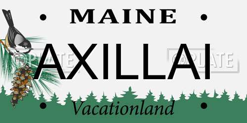 AXILLAI Maine License Plate