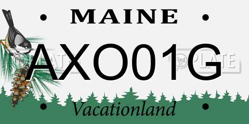 AXO01G Maine License Plate