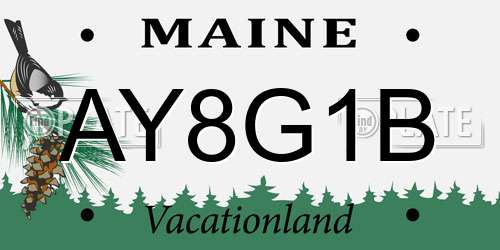AY8G1B Maine License Plate