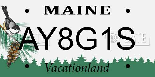 AY8G1S Maine License Plate