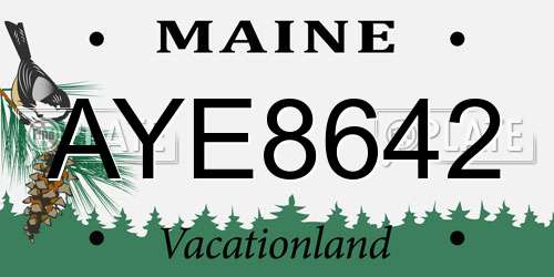 AYE8642 Maine License Plate