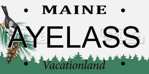 AYELASS Maine License Plate
