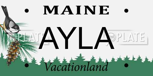 AYLA Maine License Plate