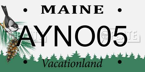 AYNO05 Maine License Plate