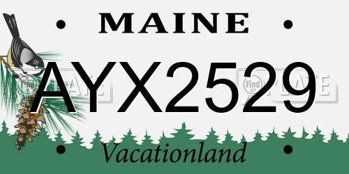 AYX2529 Maine License Plate