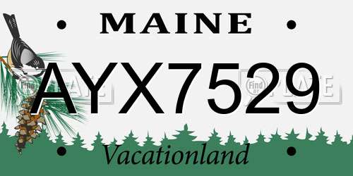 AYX7529 Maine License Plate