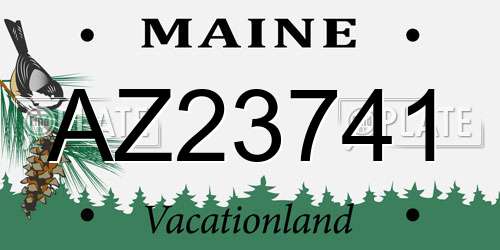 AZ23741 Maine License Plate