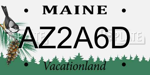 AZ2A6D Maine License Plate