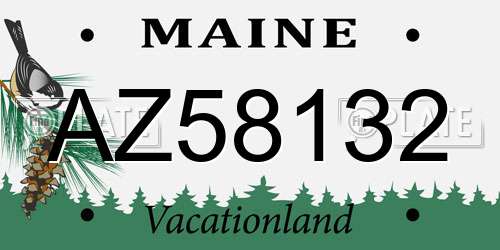 AZ58132 Maine License Plate