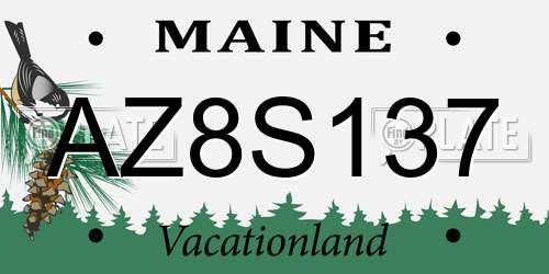 AZ8S137 Maine License Plate