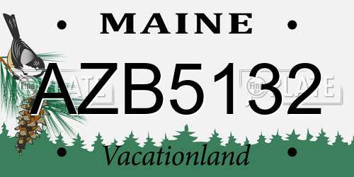 AZB5132 Maine License Plate