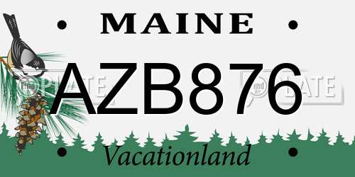 AZB876 Maine License Plate