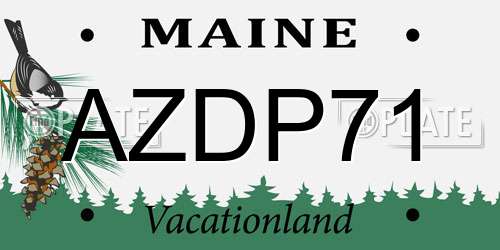 AZDP71 Maine License Plate