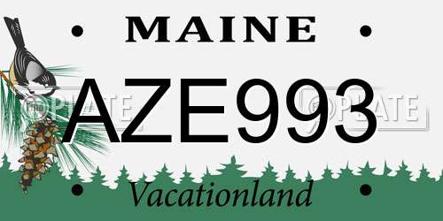 AZE993 Maine License Plate