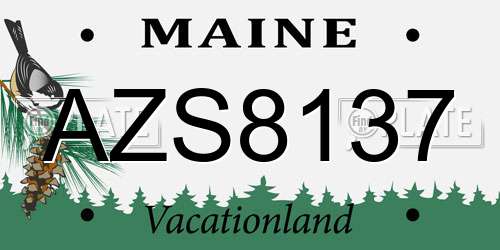 AZS8137 Maine License Plate