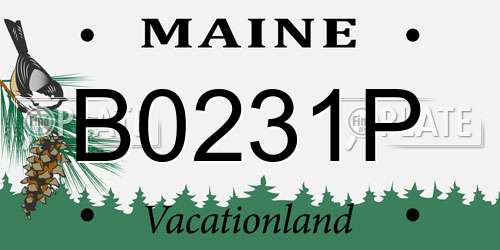 B0231P Maine License Plate